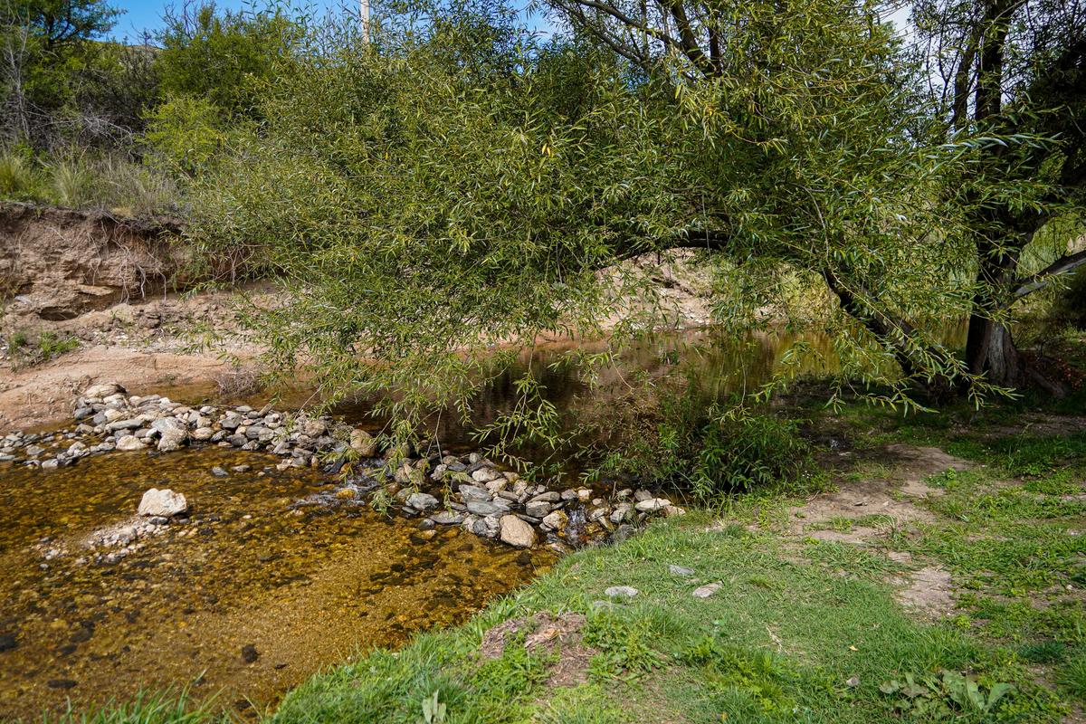 Arroyo Pérez